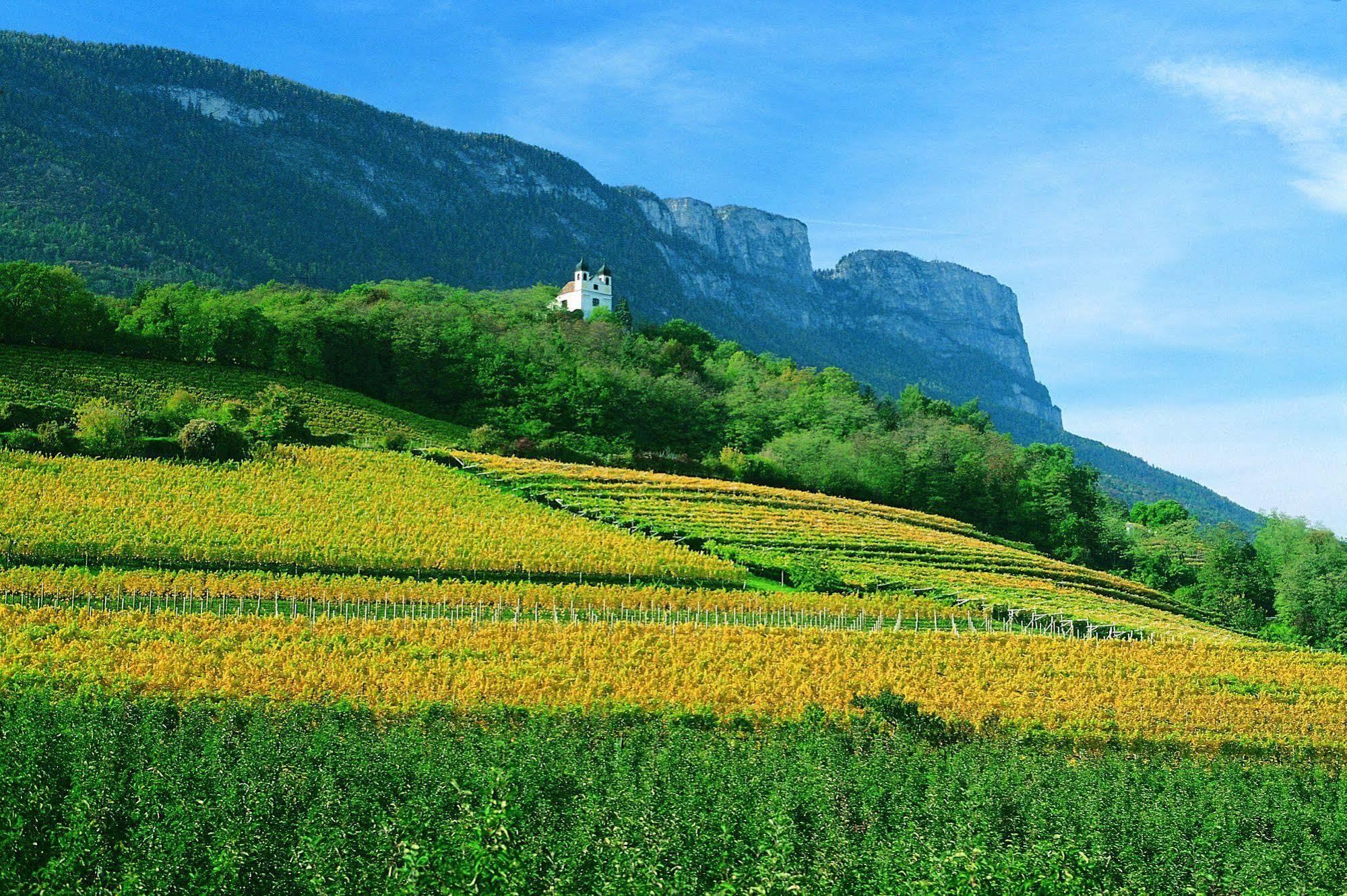 Hotel Gasthof Wastl Appiano Sulla Strada Del Vino Exterior foto